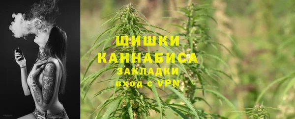 шишки Бугульма