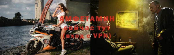 индика Верхний Тагил