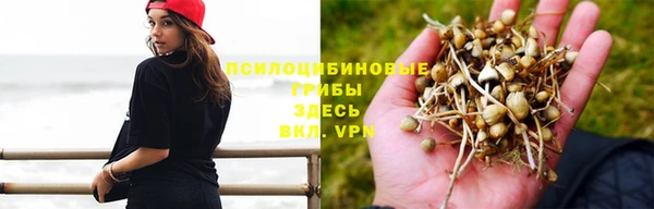 таблы Бородино
