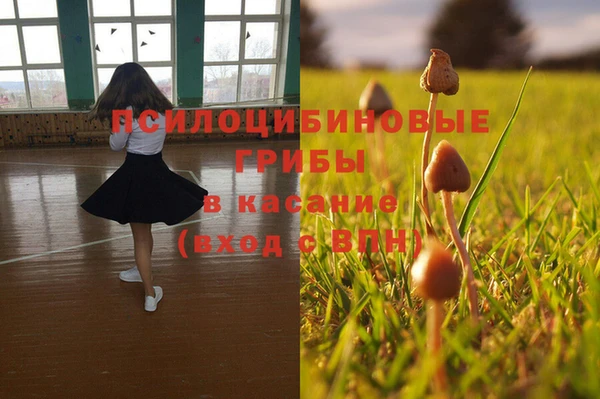 таблы Бородино