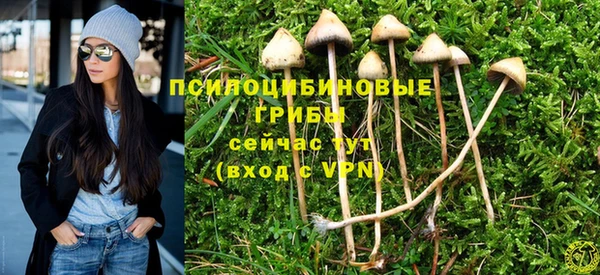 шишки Бугульма