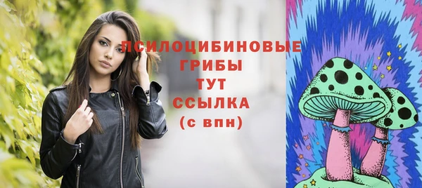 таблы Бородино