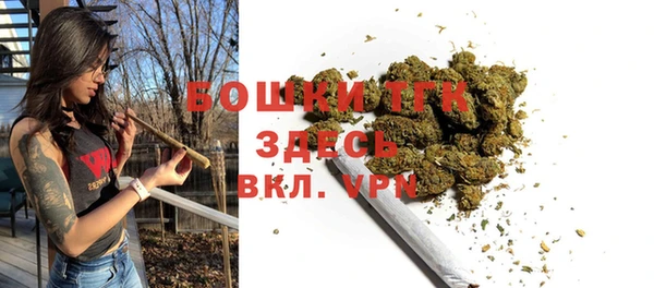 шишки Бугульма