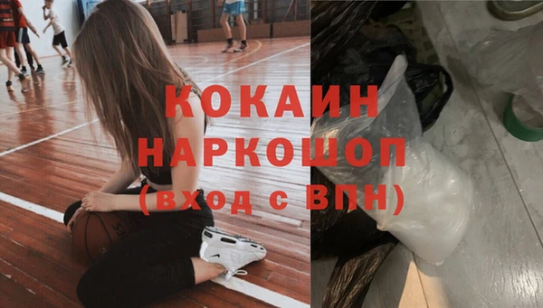 таблы Бородино