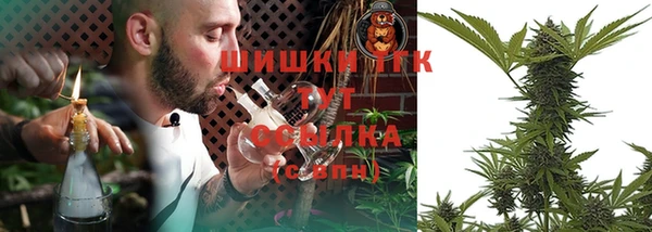 шишки Бугульма